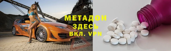 прущие грибы Кодинск