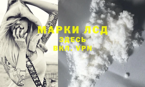 спиды Козельск