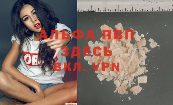 спиды Козельск