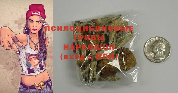 прущие грибы Кодинск
