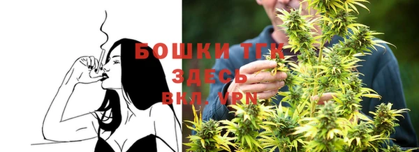 прущие грибы Кодинск