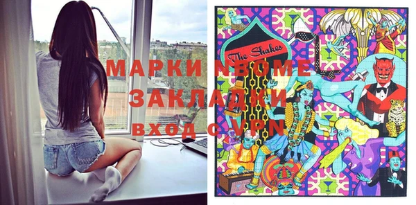 прущие грибы Кодинск