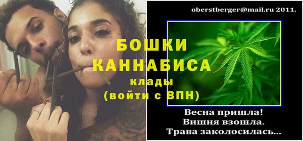 прущие грибы Кодинск